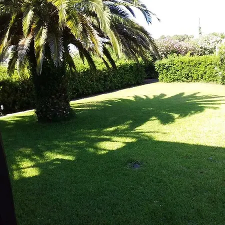Le Palme *
