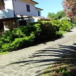 Le Palme Apartment