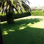 Le Palme *