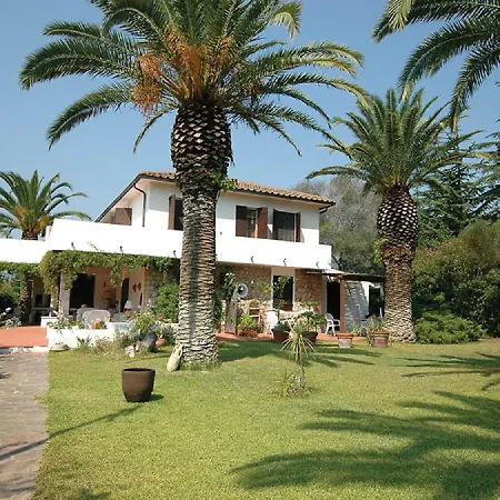 Le Palme