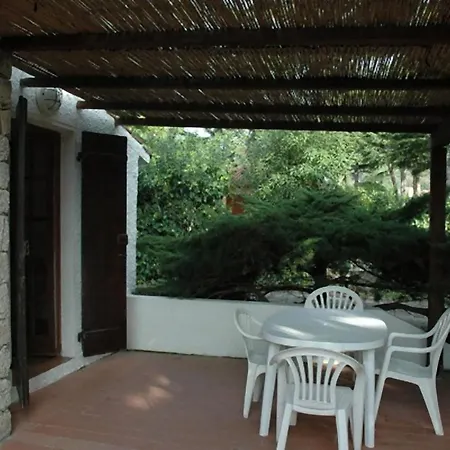 Le Palme *