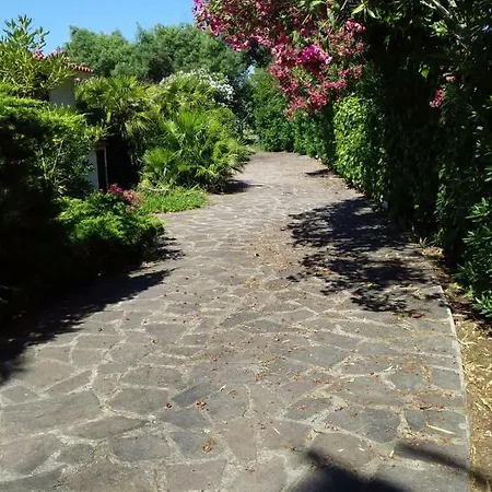 Le Palme Διαμέρισμα *