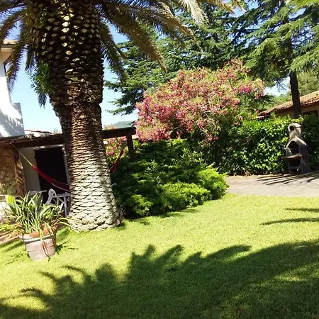 Le Palme Apartment *