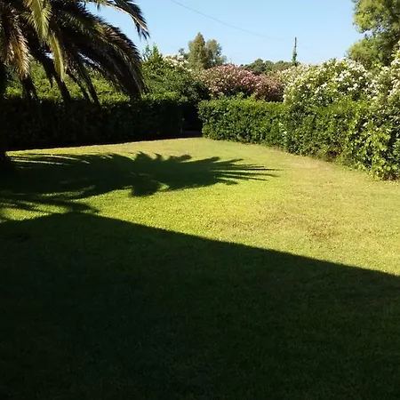 Le Palme Apartment *