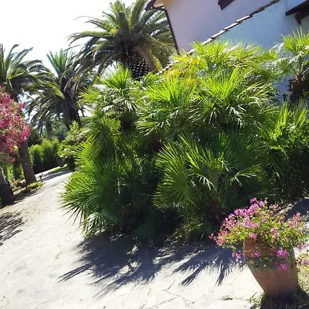 Le Palme Capoliveri (Isola d'Elba)