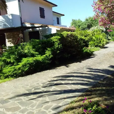 Le Palme Apartment