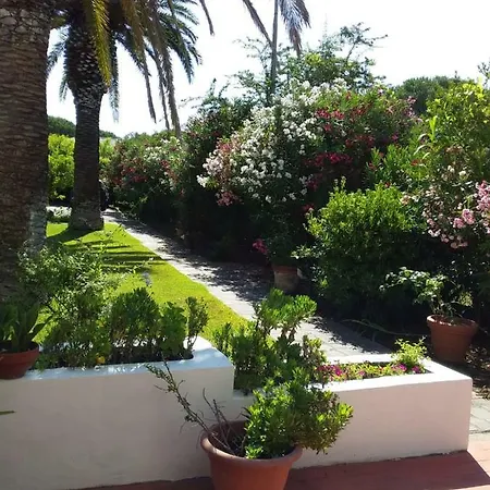 Le Palme Capoliveri (Isola d'Elba)