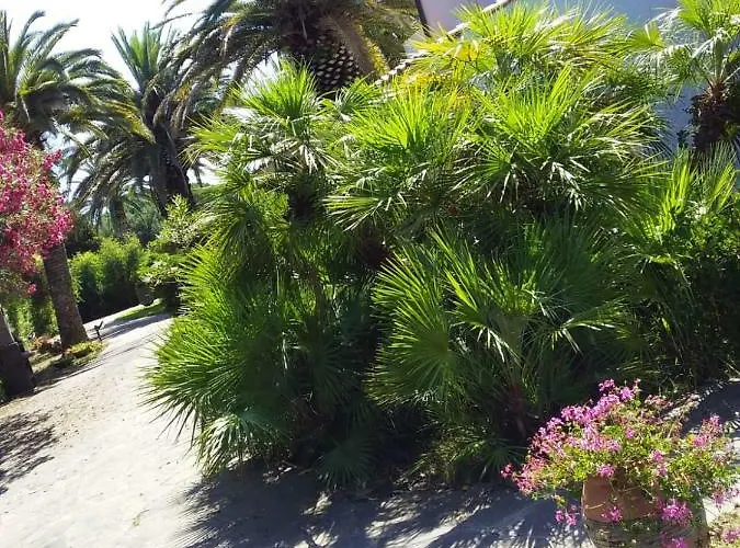 Le Palme Каполивери