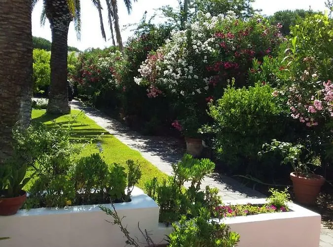 Le Palme Каполивери