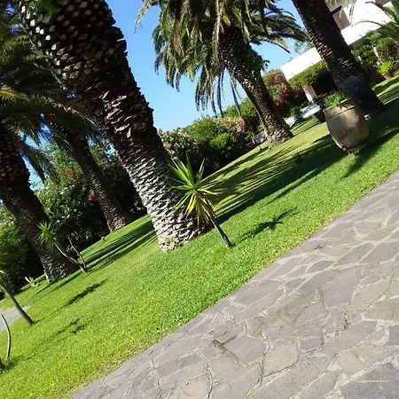 Le Palme * كابوليفيري